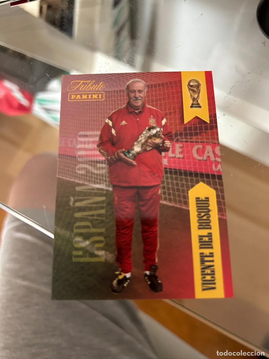 Cromos de f&uacute;tbol: DEL BOSQUE TRIBUTO A LA SELECCION 2010 NUEVO
