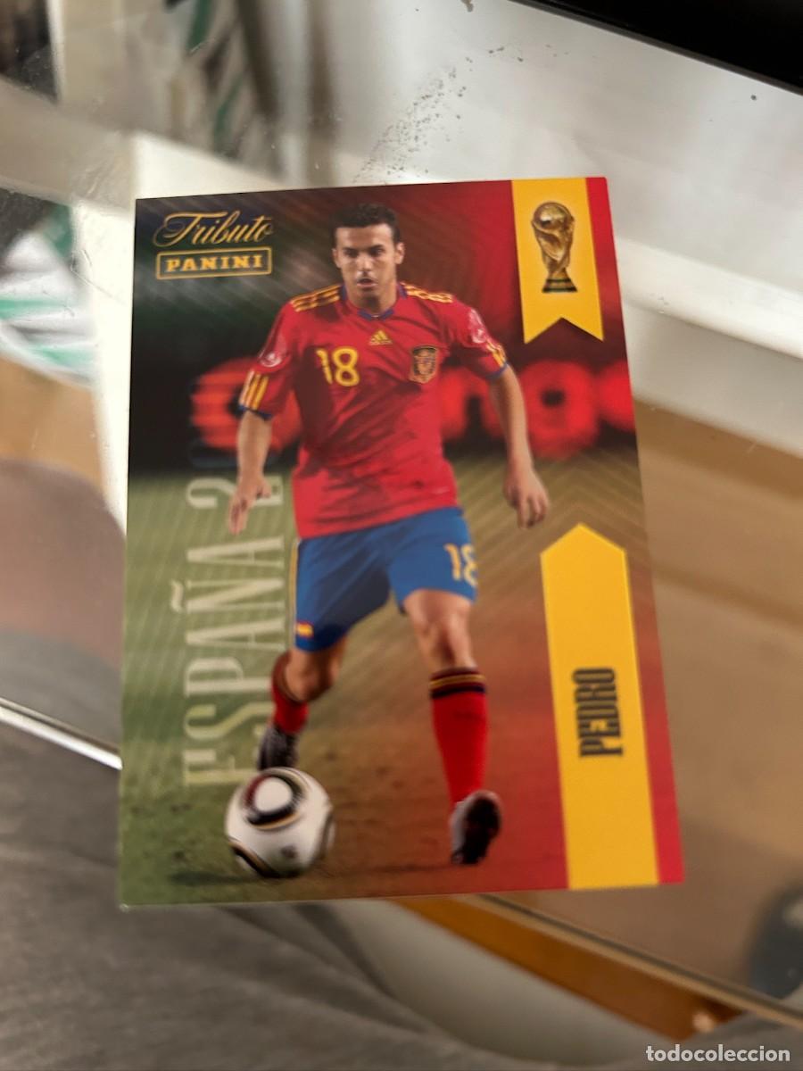 Cromos de f&uacute;tbol: PEDRO TRIBUTO A LA SELECCION NUEVO 2010