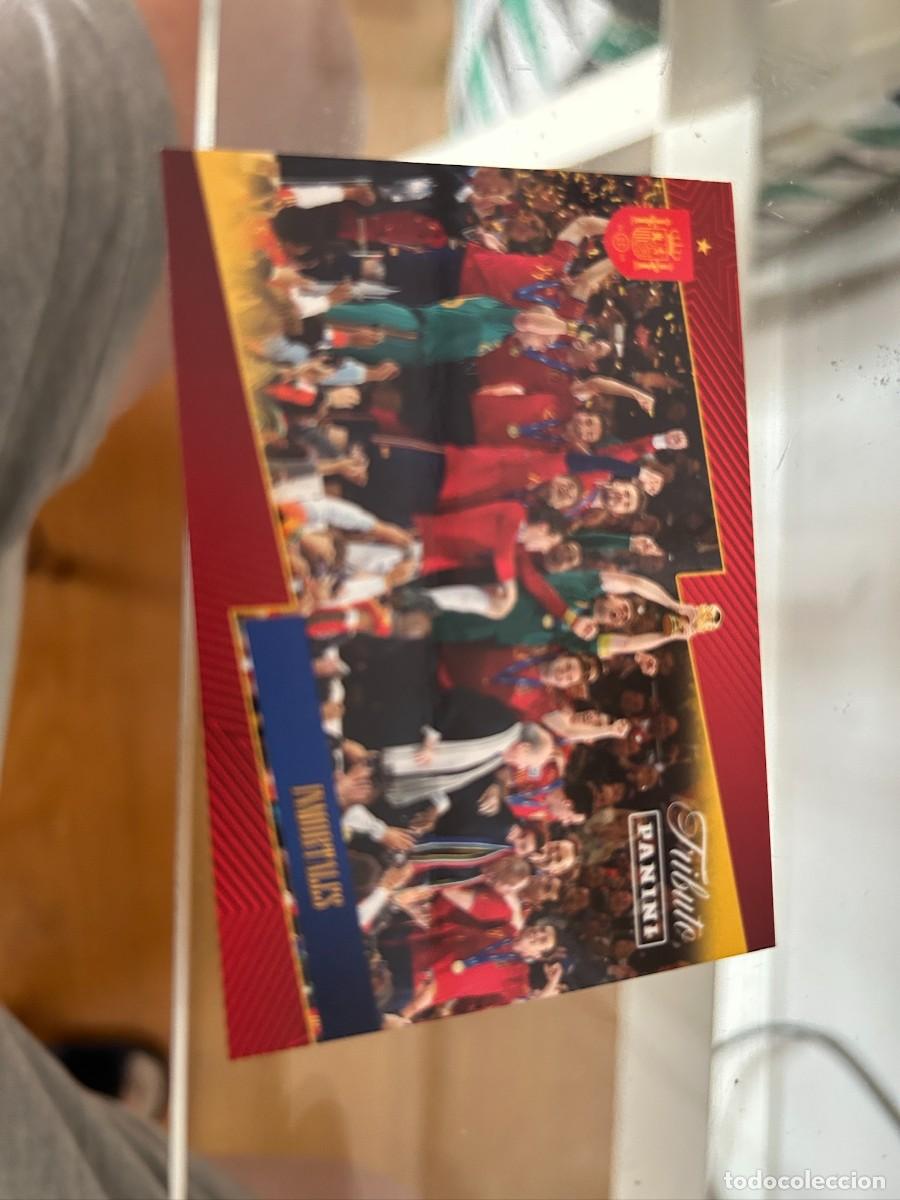 Cromos de f&uacute;tbol: CAMPEONES 2010 NUEVO TRIBUTO SELECCION