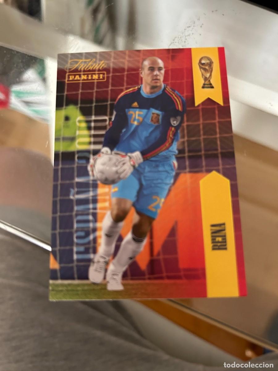Cromos de f&uacute;tbol: REINA TRIBUTO A LA SELECCION 2010 NUEVO