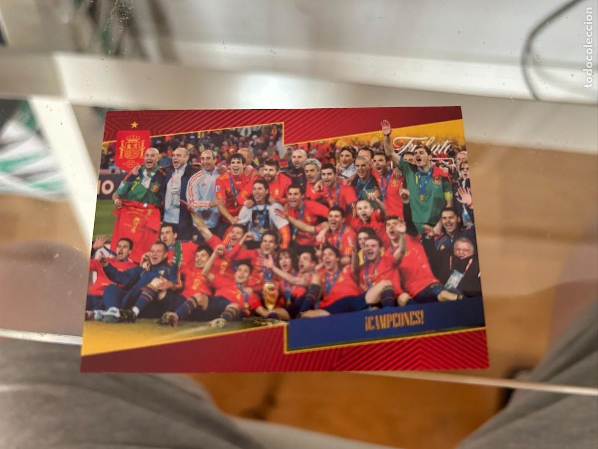 Cromos de f&uacute;tbol: MUNDIAL 2010 CAMPEONES TRIBUTO A LA SELECCION NUEVA