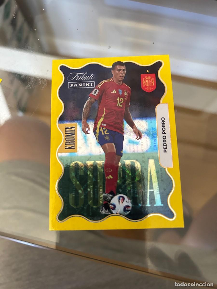 Football Stickers: PEDRO PORR0 TRIBUTO A LA SELECCION NUEVO KROMIX