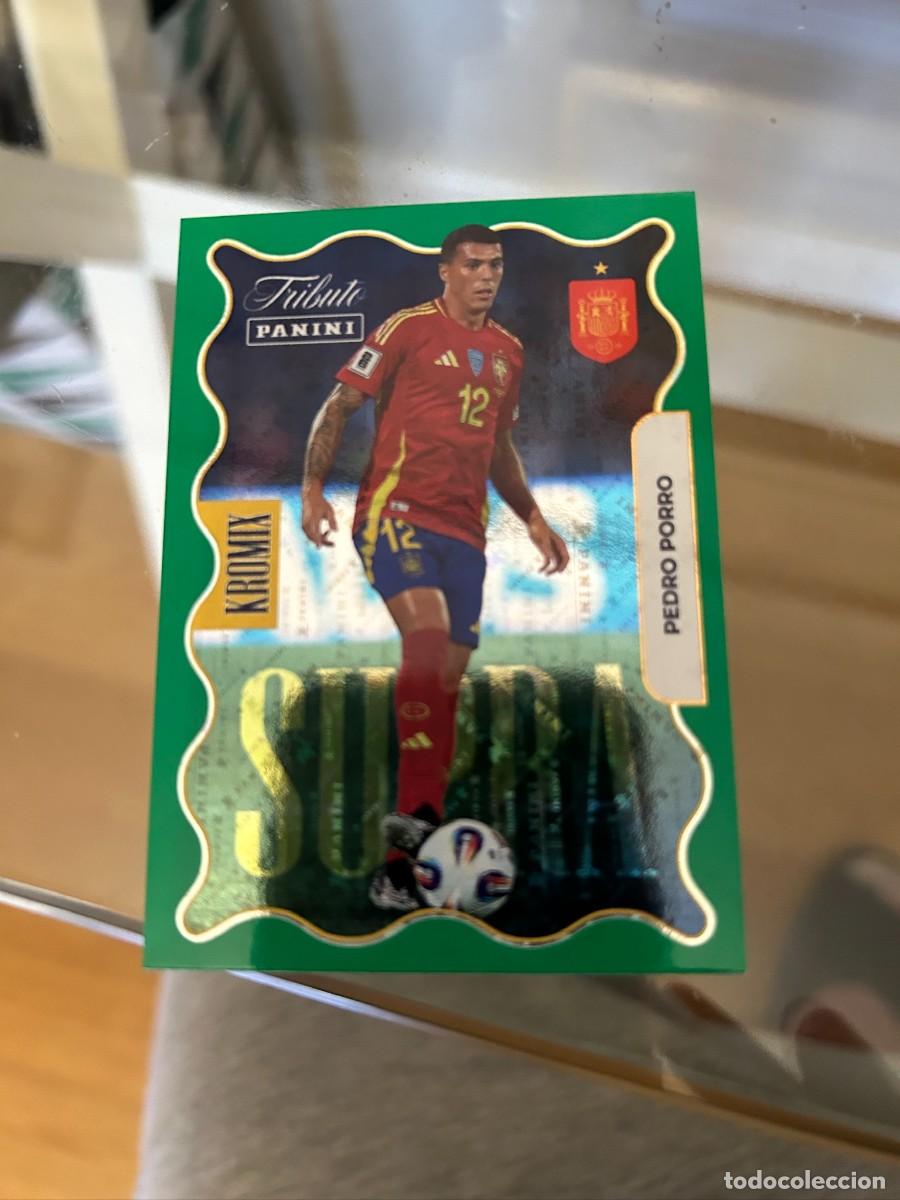 Cromos de f&uacute;tbol: PEDRO PORRO SUPRA TRIBUTO A LA SELECCION NUEVO