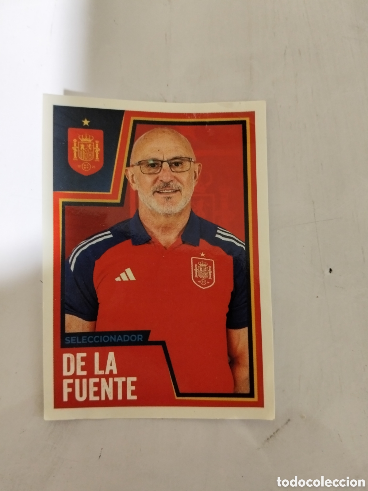 Cromos de f&uacute;tbol: Seleccionador de la fuente rfef selecci&oacute;n espa&ntilde;ola de f&uacute;tbol panini 5