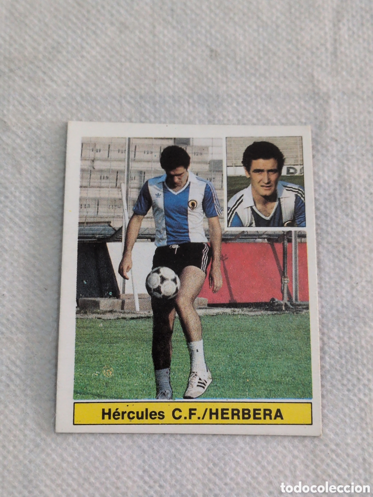 Fu&szlig;ball-Sticker: Cromo f&uacute;tbol liga 81 82 1981 1982 ediciones este nuevo sin pegar coloca H&eacute;rcules Herbera