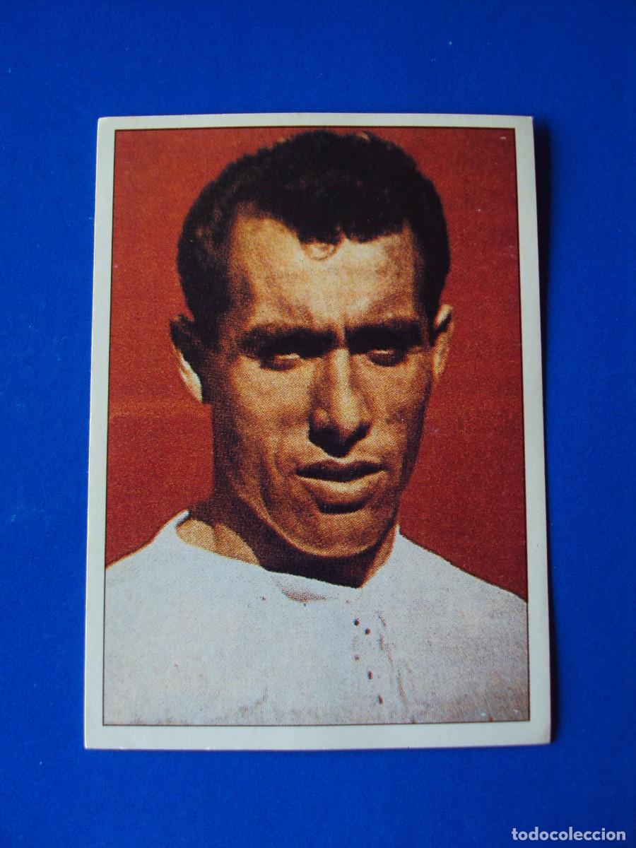 Cartes &agrave; collectionner de Football: CROMO N&ordm; 26 MANUEL FERN&Aacute;NDEZ PAHI&Ntilde;O &Aacute;LBUM COLECCI&Oacute;N REAL MADRID 95 96 1995 1996 PANINI SIN PEGAR