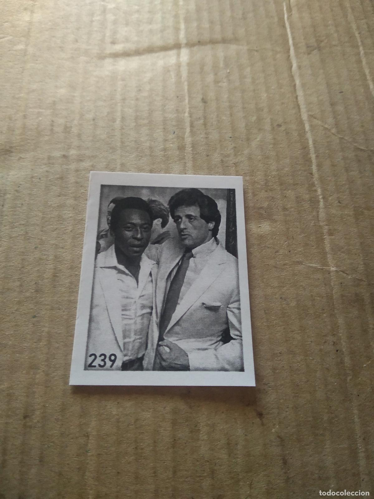 Cromos de f&uacute;tbol: 239 sylvester stallone CROMO FUTBOL ALBUM DE FIGURINHAS DO REI PELE O MELHOR JOGADOR CAPITAO GANCHO