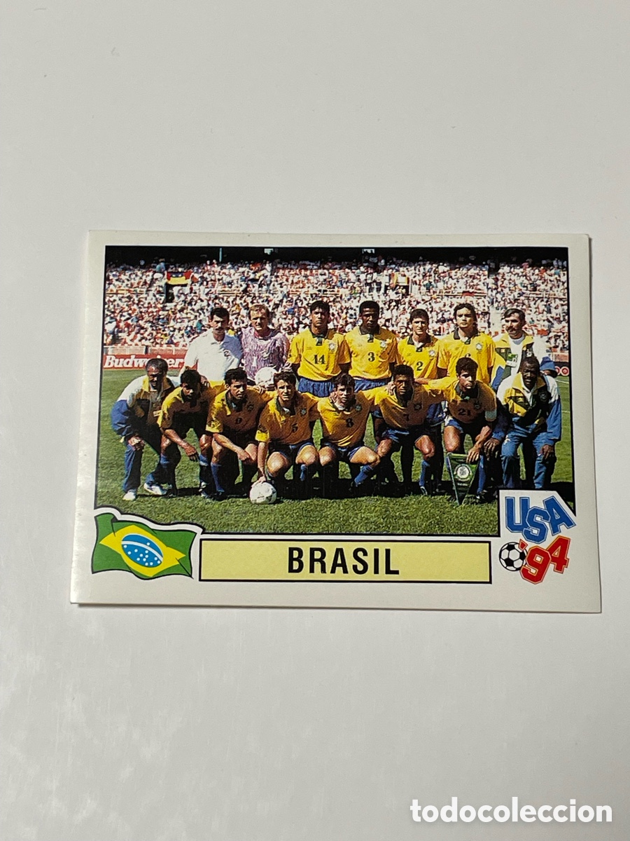 Cromos de f&uacute;tbol: Brasil foto equipo Panini Mundial USA 94 #105