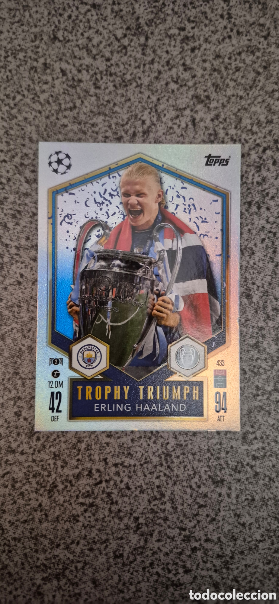 Figurine di Calcio: CROMO CHAMPIONS HAALAND