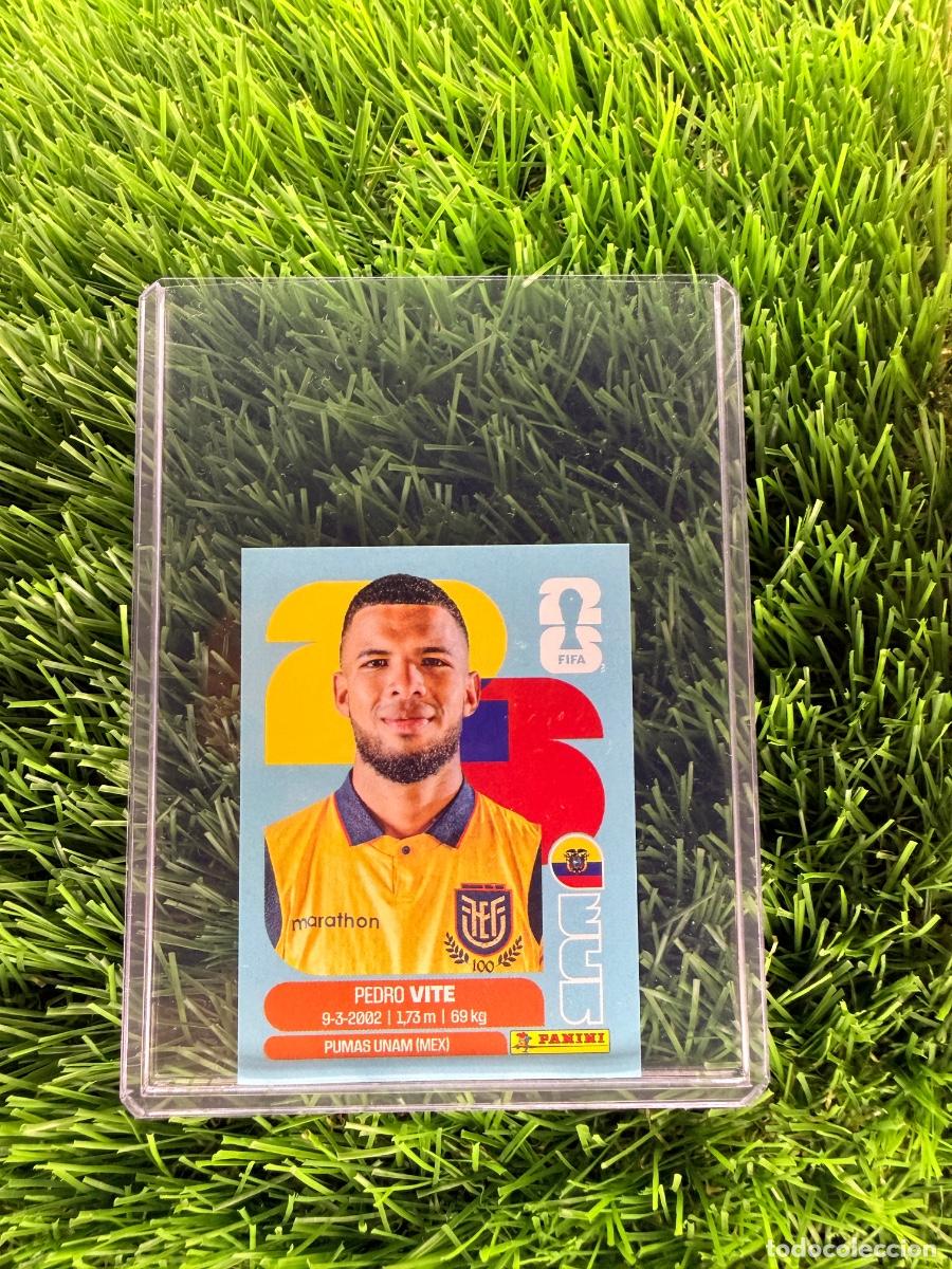 Cromos de f&uacute;tbol: N&ordm; ECU12 Pedro Vite Ecuador Mundial 2026 Stickers