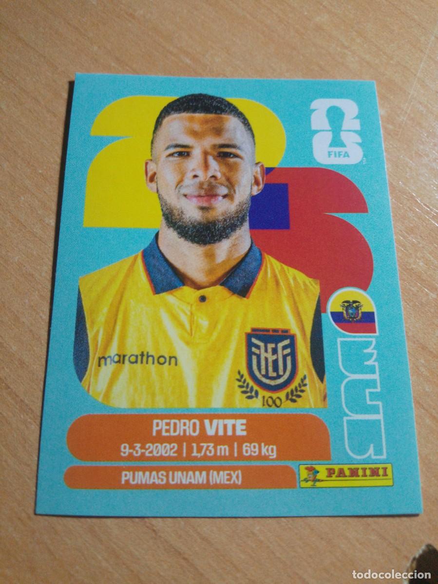 Cromos de f&uacute;tbol: ECU 12 VITE ECUADOR MUNDIAL FIFA WORLD CUP 2026 26 PANINI STICKERS NUEVO