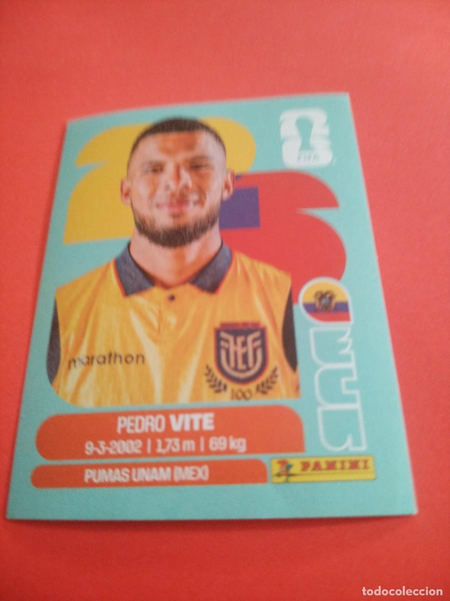 Cromos de f&uacute;tbol: CROMO MUNDIAL 2026 - ECUADOR ECU 12