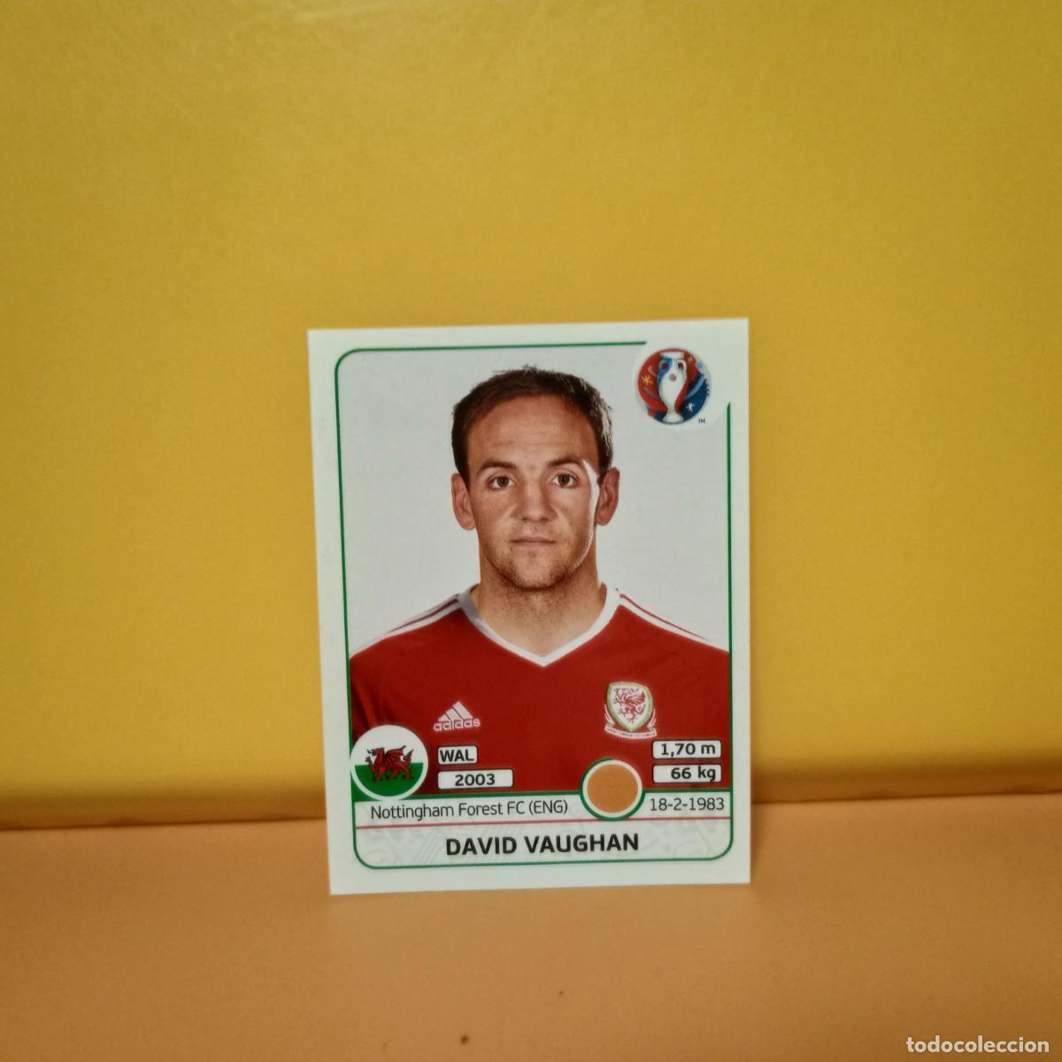 Cromos de f&uacute;tbol: PANINI EURO 2016 FRANCE; EUROCOPA FRANCIA: GALES VAUGHAN 189