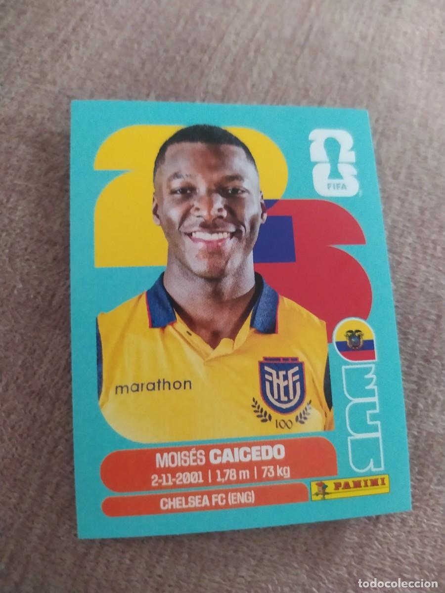 Cromos de f&uacute;tbol: ECU 09 Mois&eacute;s CAICEDO 9 Ecuador Mundial 2026 Panini