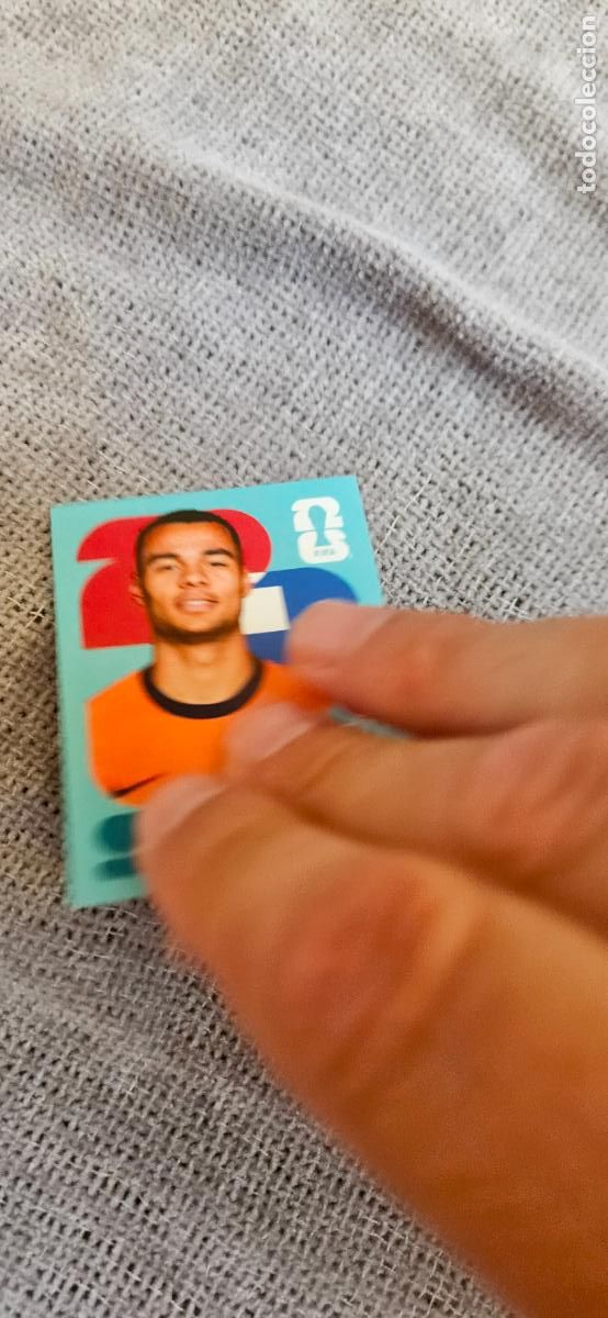 Football Stickers: Paises Bajos Gakpo world cup mundial fifa estados unidos, canad&aacute; mexico panini 2026 26 sin pegar tra