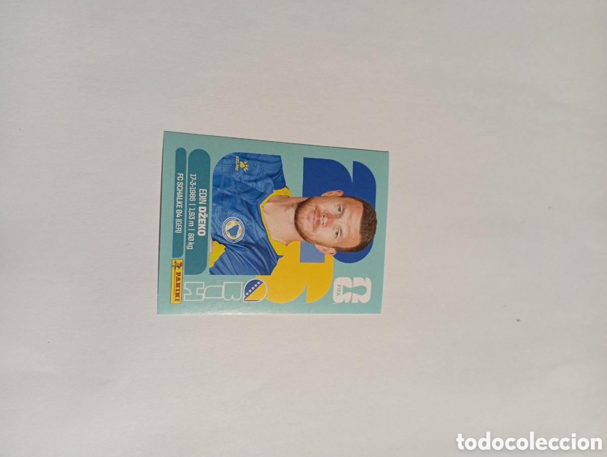 Cromos de f&uacute;tbol: BIH 18 world Cup 26 Panini
