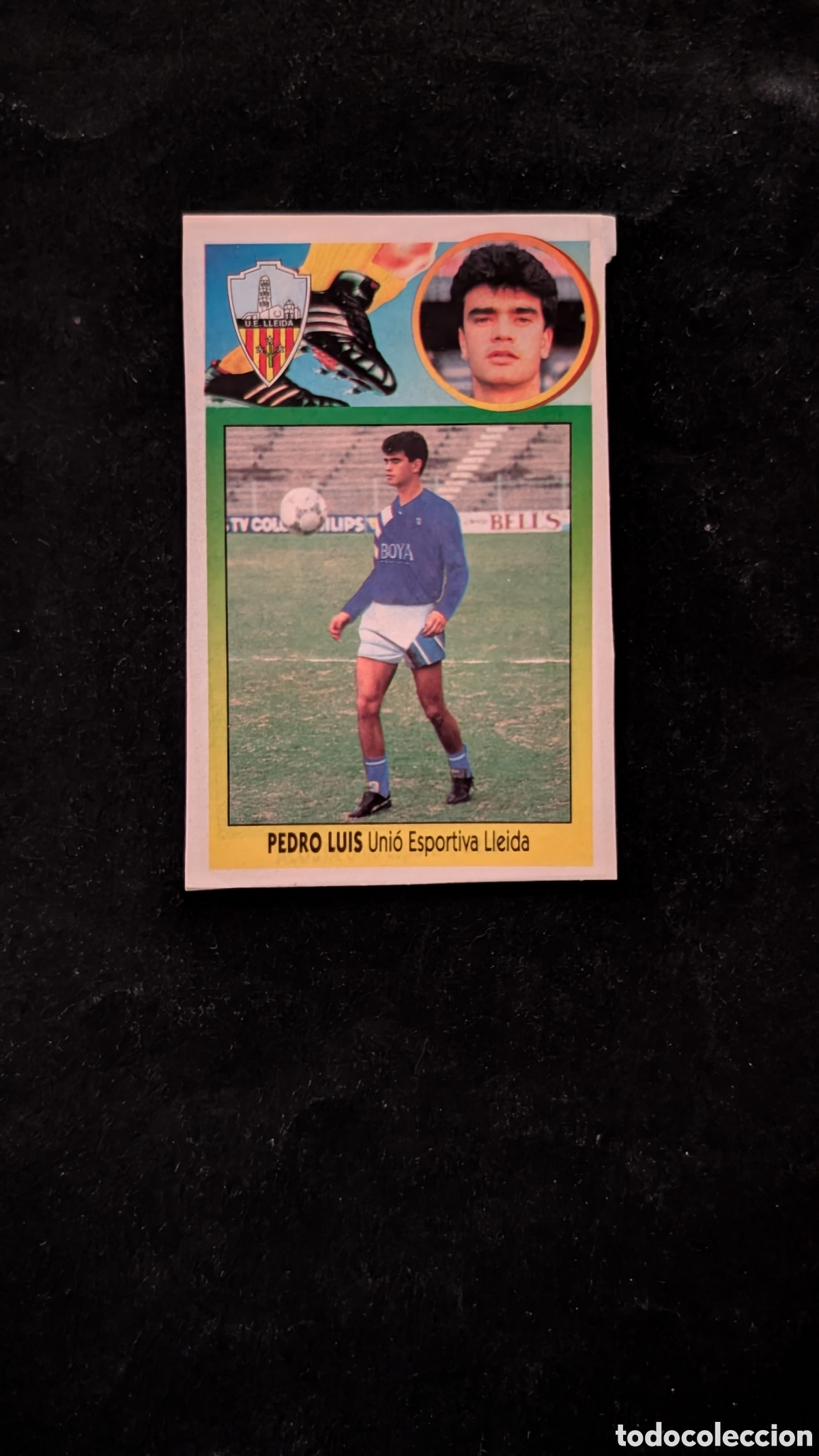 Cromos de f&uacute;tbol: PEDRO LUIS LLEIDA COLOCA LIGA ESTE 1993/94 93 94 ADHESIVO RECORTADO