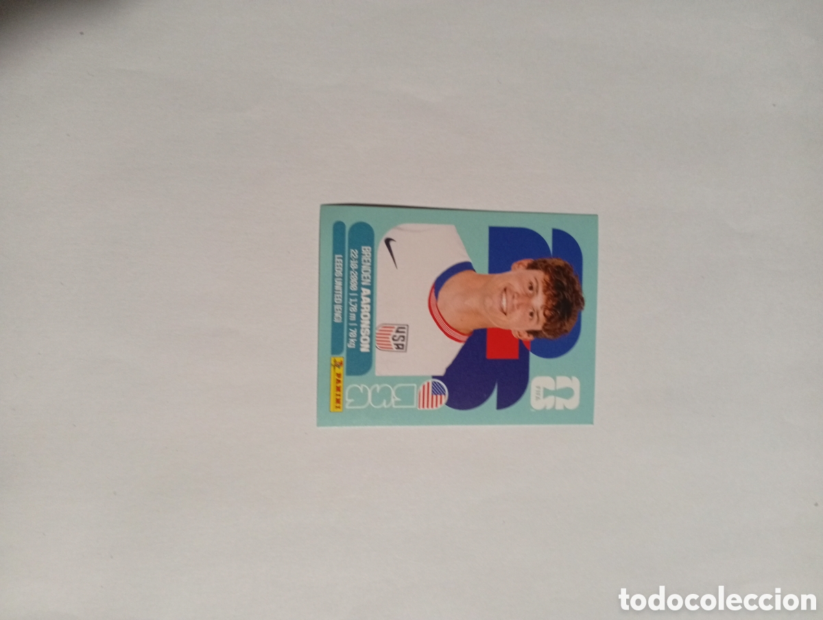 Cromos de f&uacute;tbol: USA 17 World Cup 26 Panini