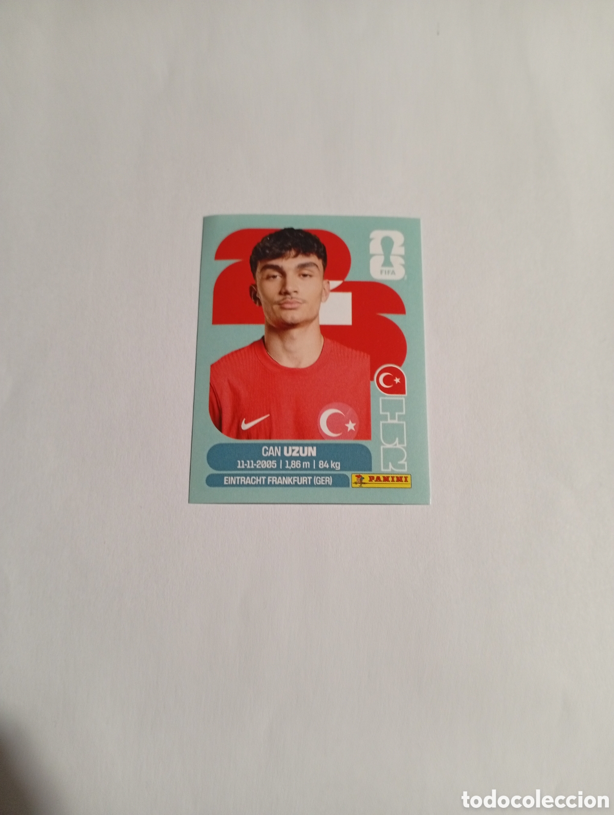 Cromos de f&uacute;tbol: TUR 17 World Cup 26 Panini