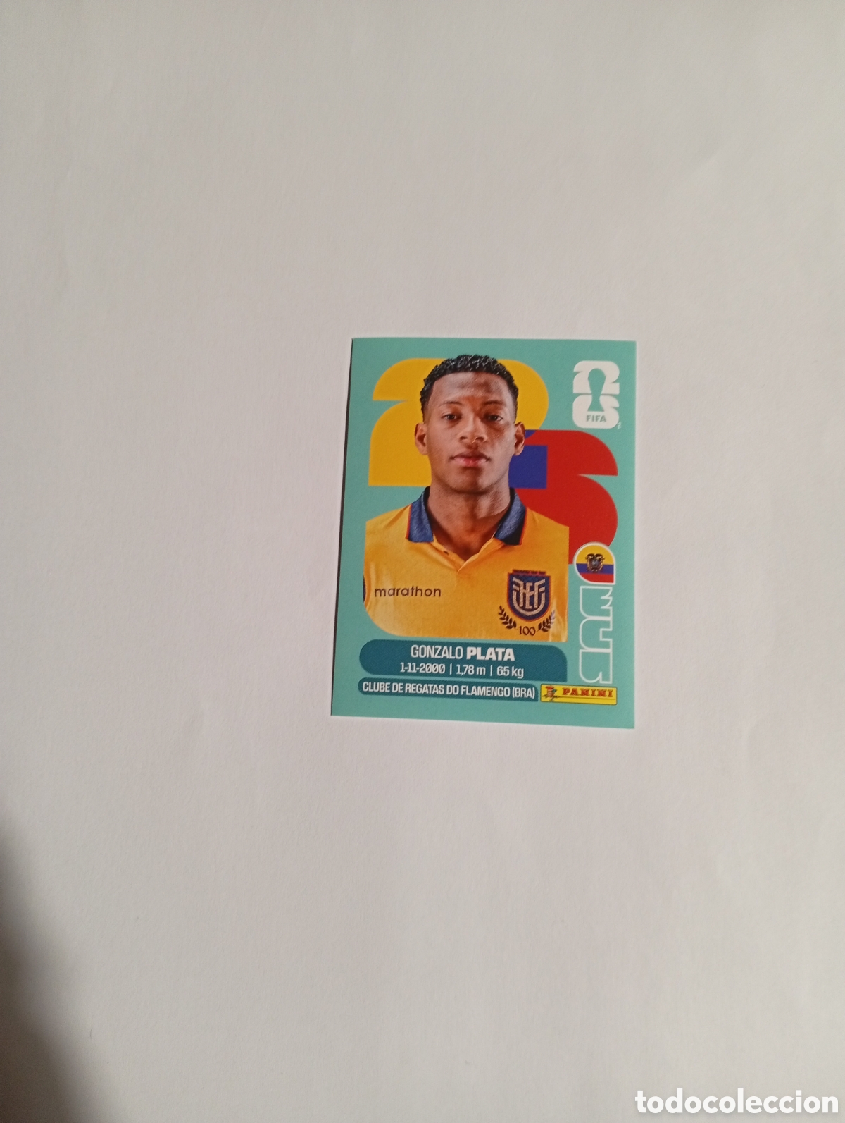 Cromos de f&uacute;tbol: ECU 16 World Cup 26 Panini