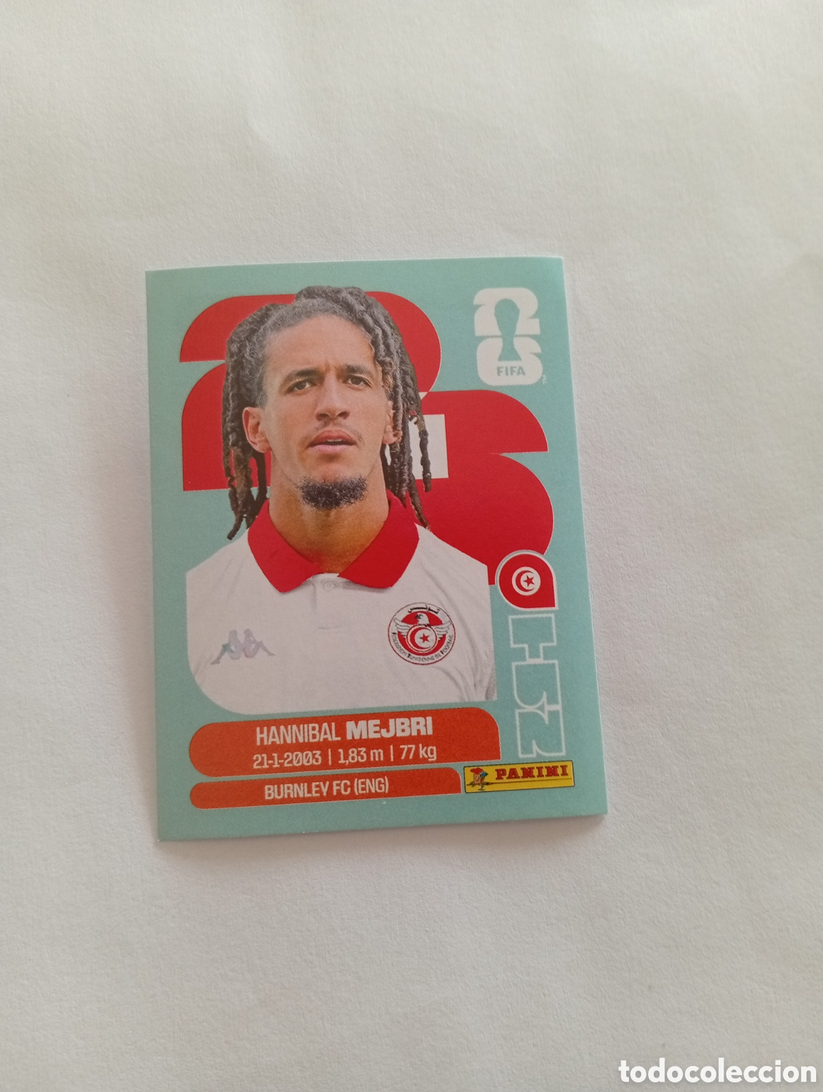 Cromos de f&uacute;tbol: TUN14 world Cup 26 Panini