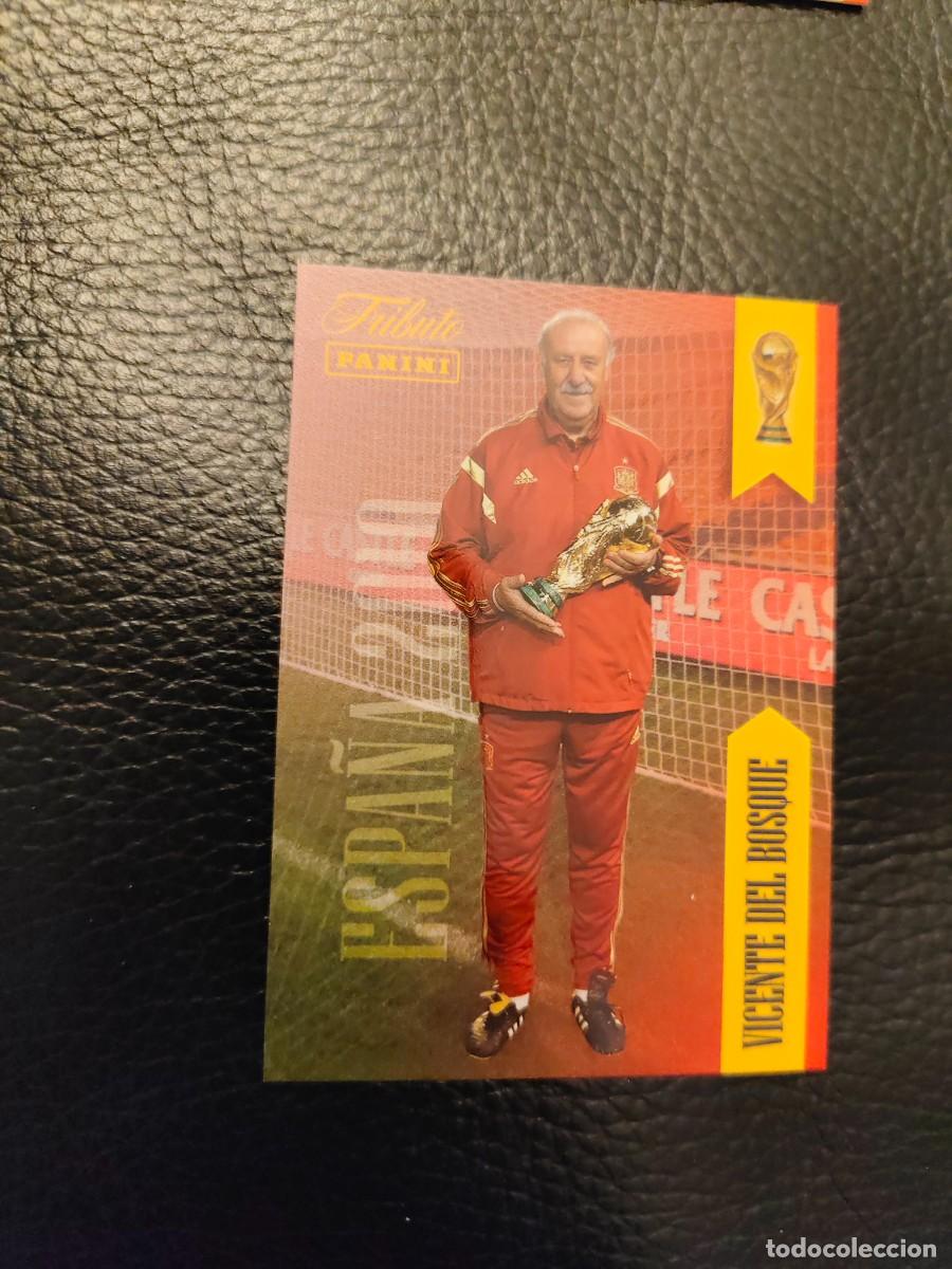 Figurine di Calcio: 24. VICENTE DEL BOSQUE TRIBUTO ESPA&Ntilde;A 2010 2026 ESPA&Ntilde;A PANINI VAMOS CAMPEONES MUNDIAL AAH