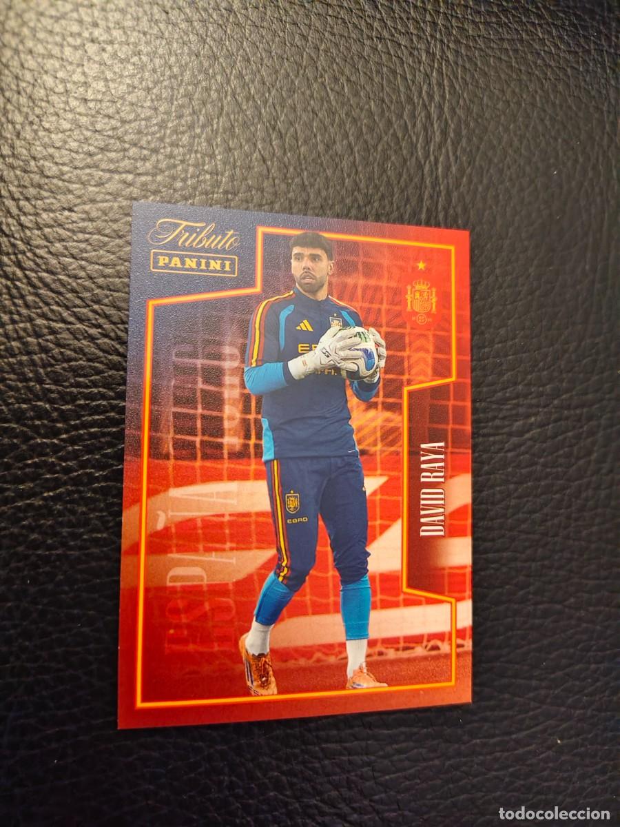 Cromos de f&uacute;tbol: 38. DAVID RAYA TRIBUTO ESPA&Ntilde;A 2010 2026 ESPA&Ntilde;A PANINI VAMOS CAMPEONES MUNDIAL AAH