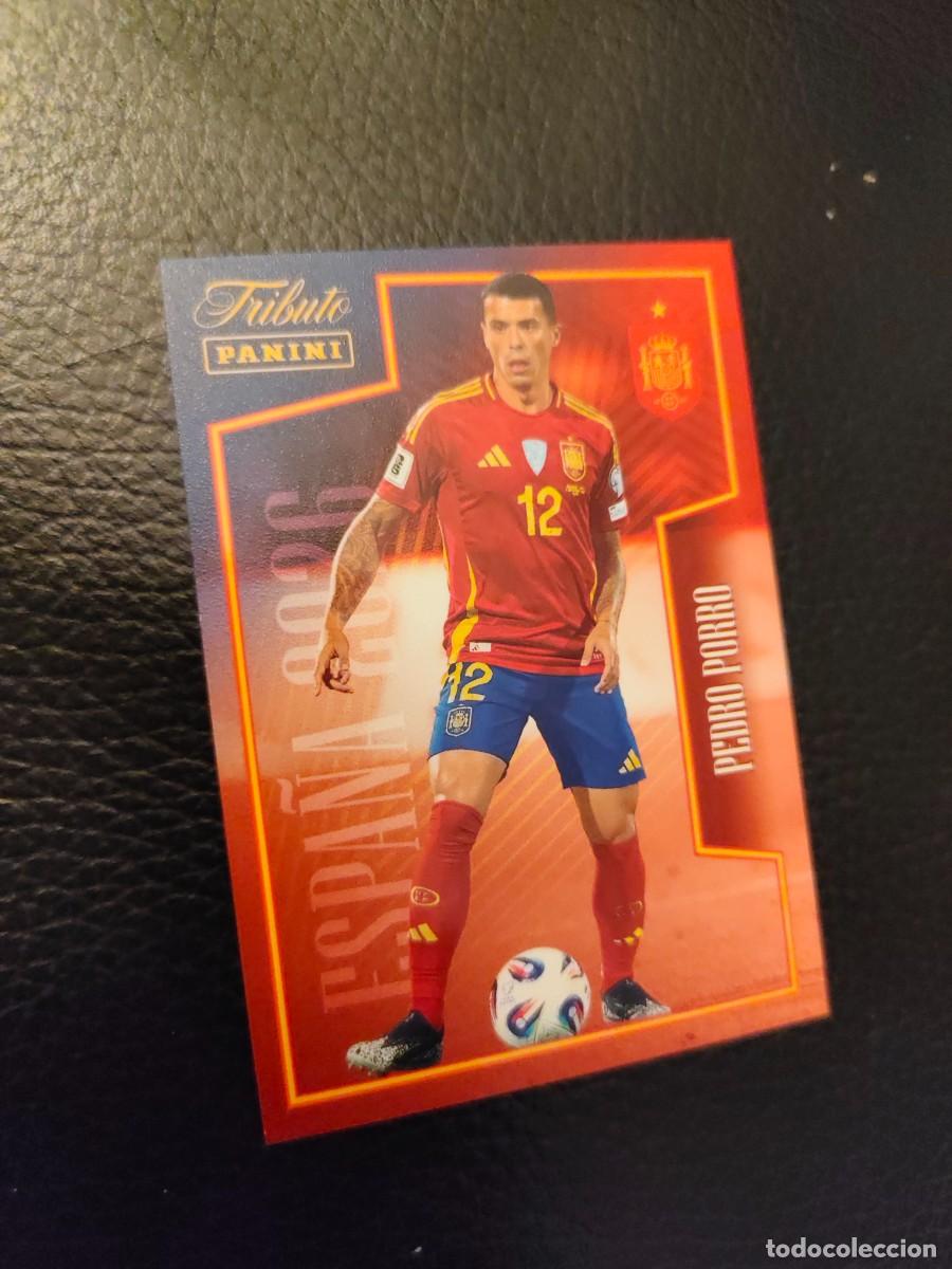 Cromos de f&uacute;tbol: 41. PEDRO PORRO TRIBUTO ESPA&Ntilde;A 2010 2026 ESPA&Ntilde;A PANINI VAMOS CAMPEONES MUNDIAL AAH