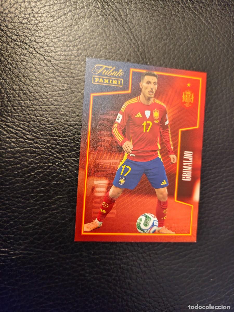 Cromos de f&uacute;tbol: 50. RODRI TRIBUTO ESPA&Ntilde;A 2010 2026 ESPA&Ntilde;A PANINI VAMOS CAMPEONES MUNDIAL AAH