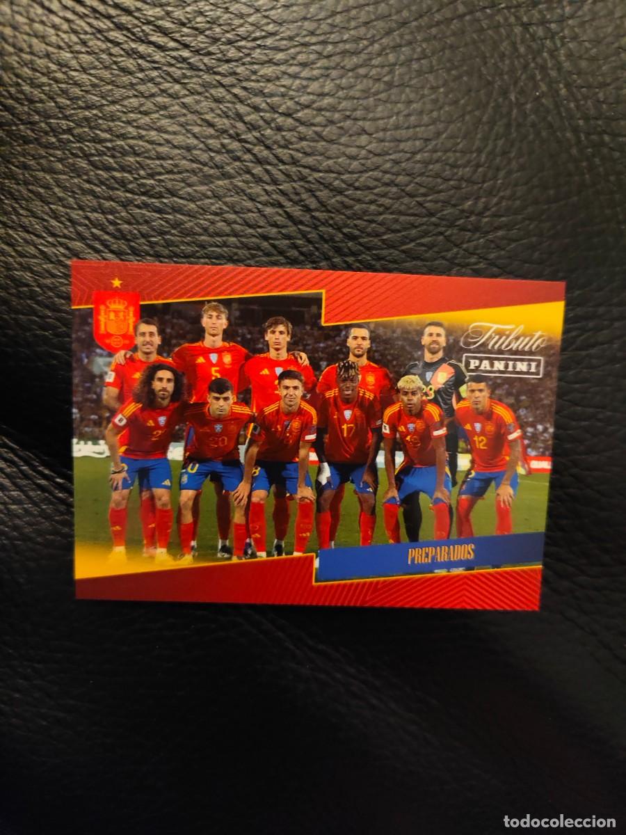 Cromos de f&uacute;tbol: 69. PREPARADOS TRIBUTO ESPA&Ntilde;A 2010 2026 ESPA&Ntilde;A PANINI VAMOS CAMPEONES MUNDIAL AAH