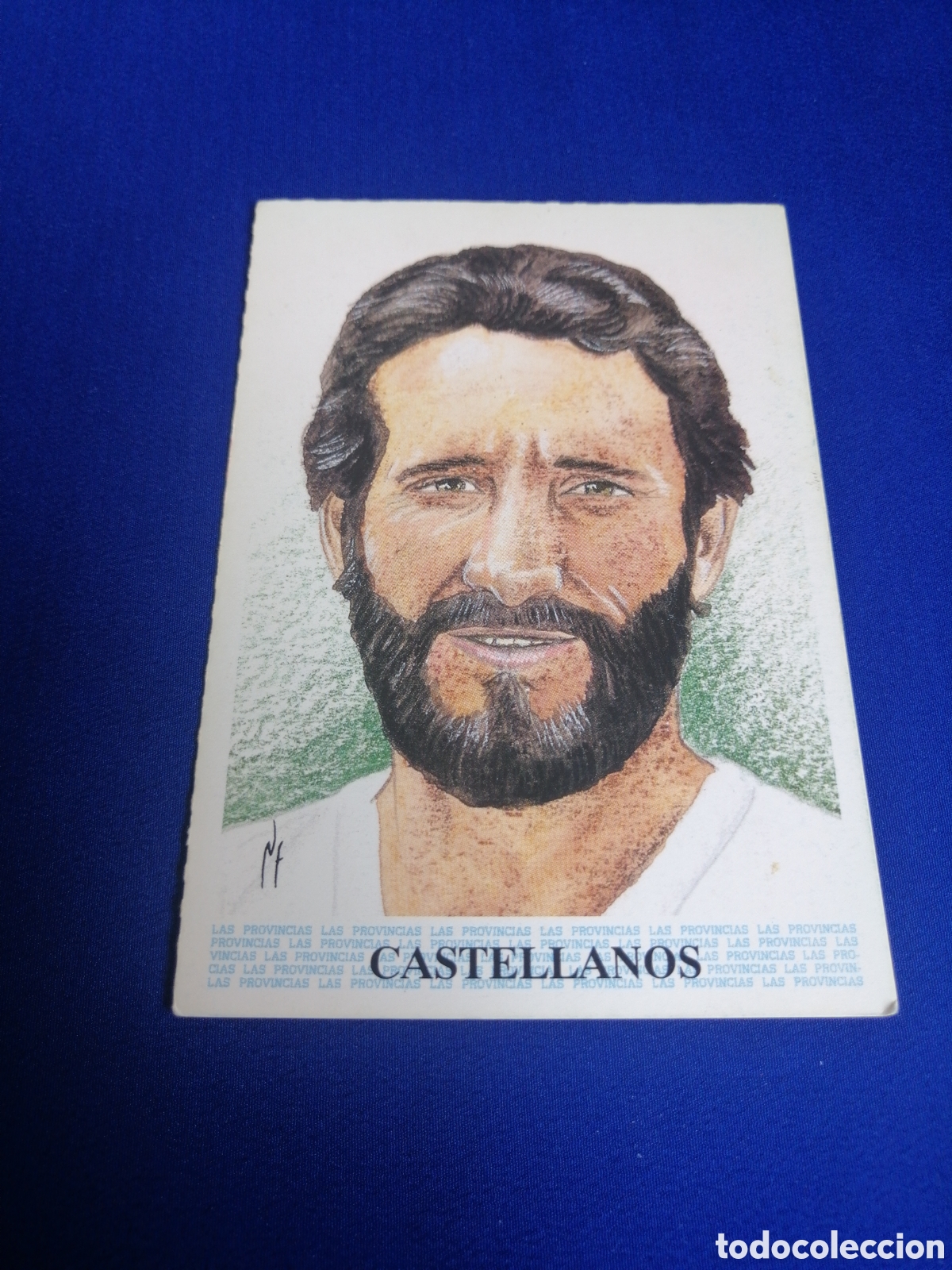 Cromos de f&uacute;tbol: HISTORIA DEL VALENCIA CF - DIARIO LAS PROVINCIAS - 1994 - CASTELLANOS