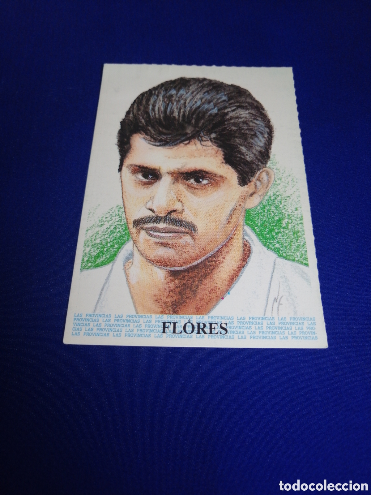 Fu&szlig;ball-Sticker: HISTORIA DEL VALENCIA CF - DIARIO LAS PROVINCIAS - 1994 FLORES