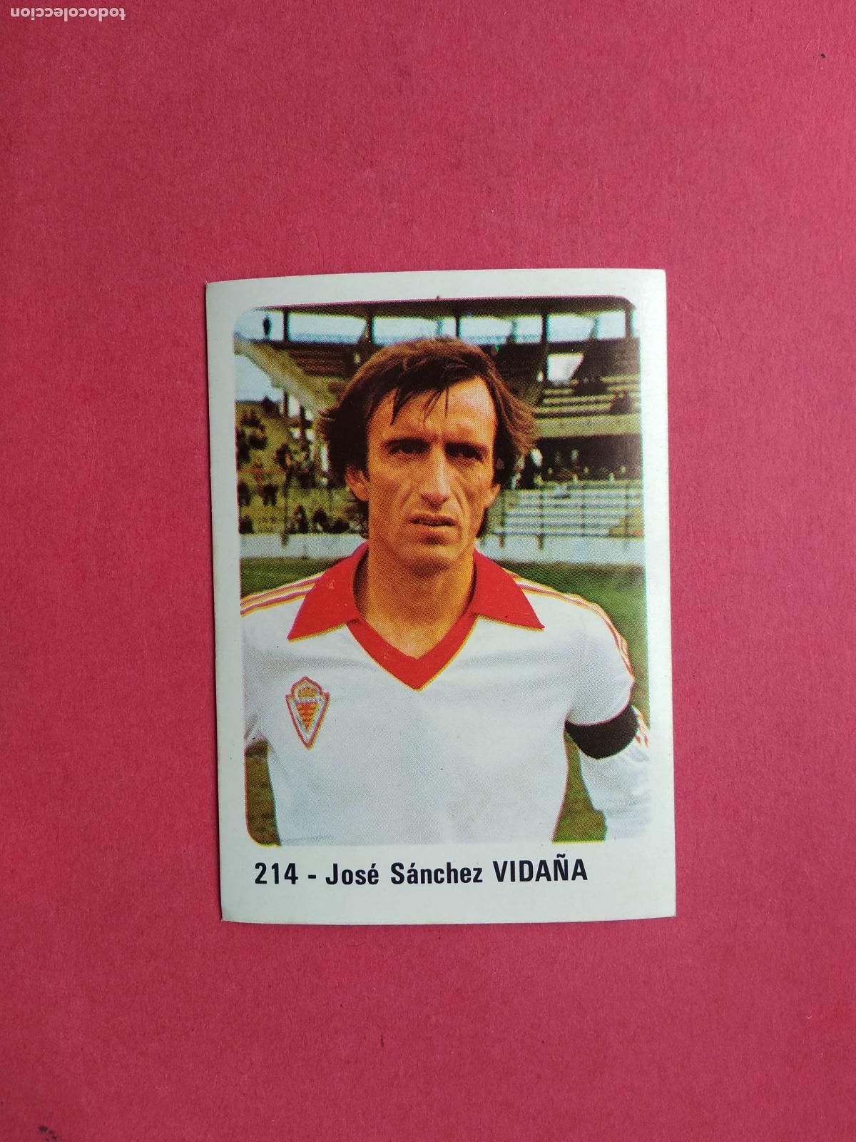 Cromos de f&uacute;tbol: EDITORIAL CROMO CROM PANINI LIGA 80 81 1980 1981 DESPEGADO REAL MURCIA N&ordm; 214 VIDA&Ntilde;A