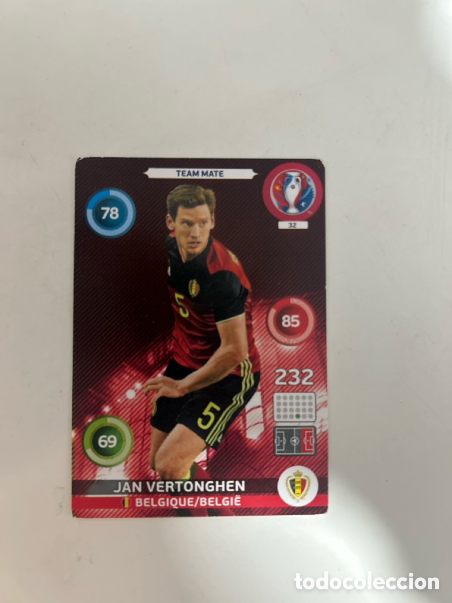 Cromos de f&uacute;tbol: Jam Vertonghen EURO 16