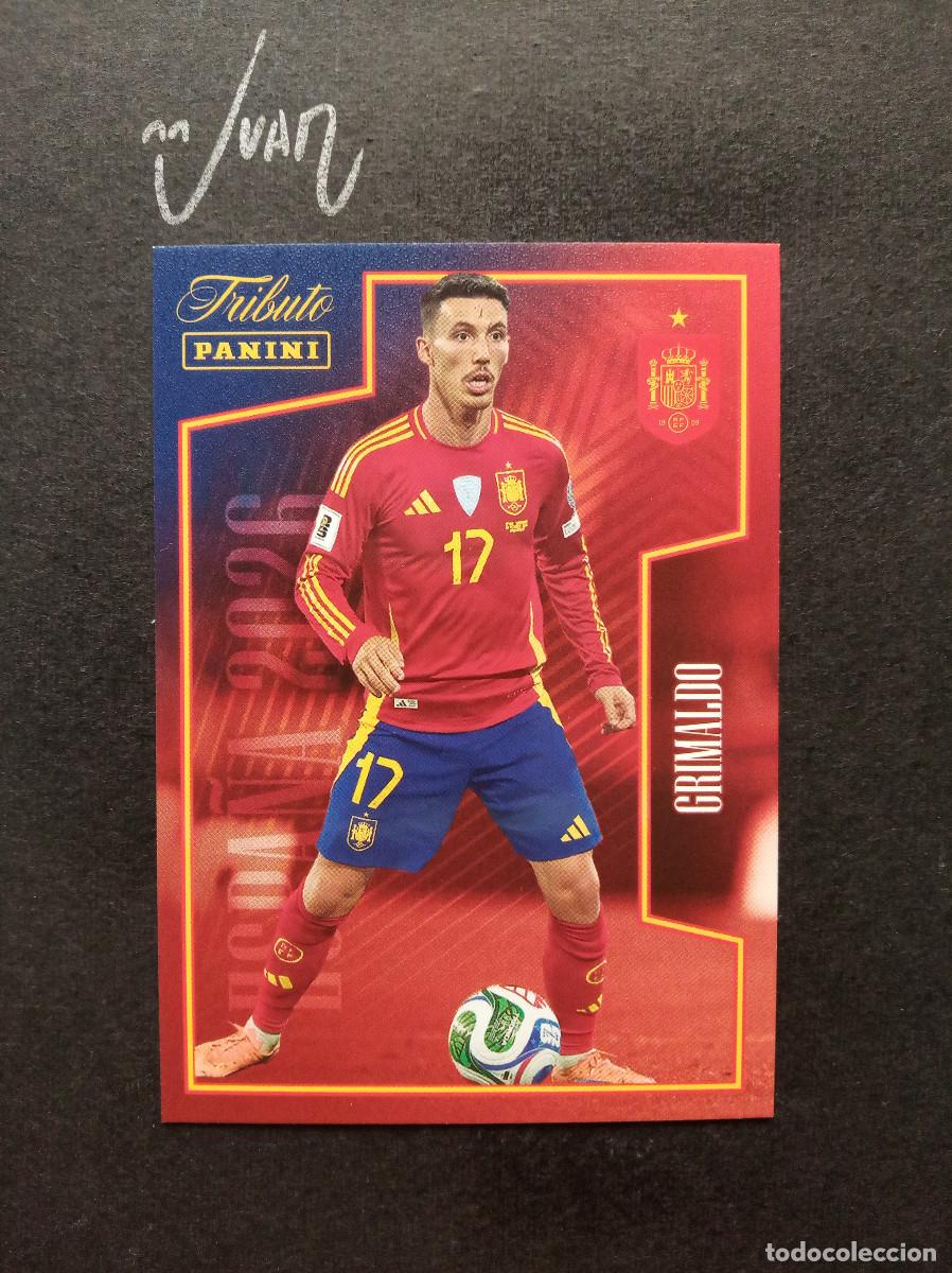 Cromos de f&uacute;tbol: N&ordm; 49 ALEX GRIMALDO ESPA&Ntilde;A ATLETICO MADRID ⚽ PANINI &reg; TRIBUTO SELECCION ESPA&Ntilde;OLA 2026 MUNDIAL 2010