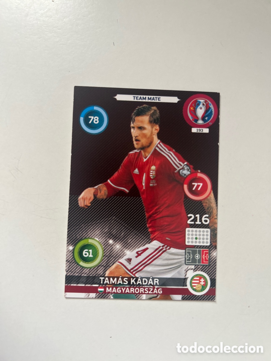 Cromos de f&uacute;tbol: Tam&aacute;s K&aacute;d&aacute;r EURO2016 (193)