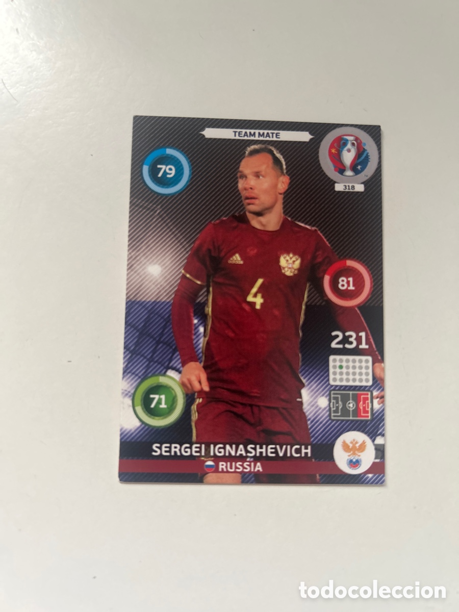 Cromos de f&uacute;tbol: Sergei Ignashevich EURO2016 (318)