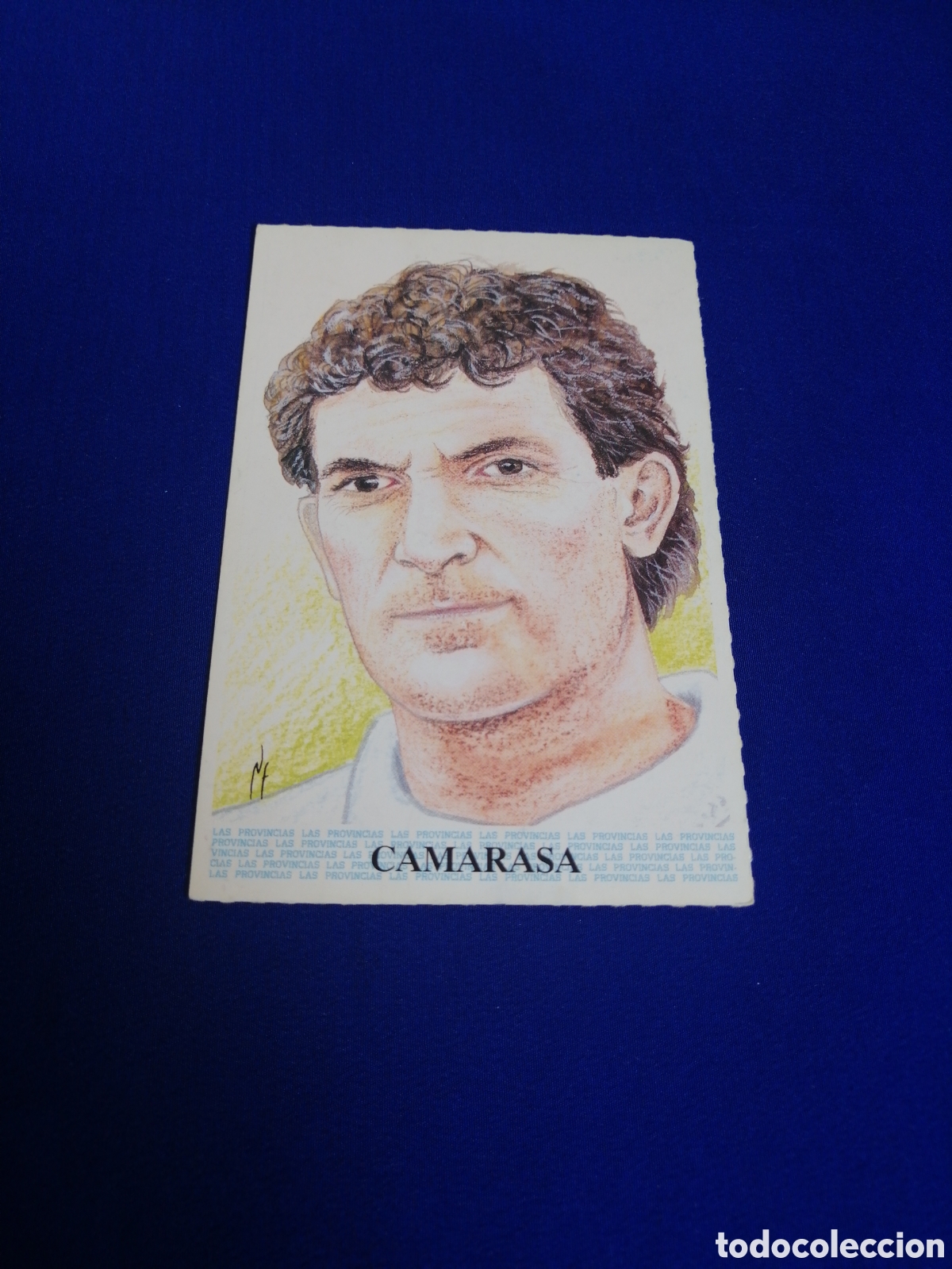 Cromos de f&uacute;tbol: HISTORIA DEL VALENCIA CF - DIARIO LAS PROVINCIAS - 1994 - CAMARASA