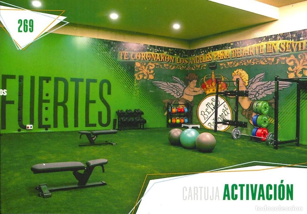 Cromos de f&uacute;tbol: FUTBOL - BETIS CARDS - 2025-2026 - 25-26 - REAL BETIS - 269 - CARTUJA - ACTIVACION