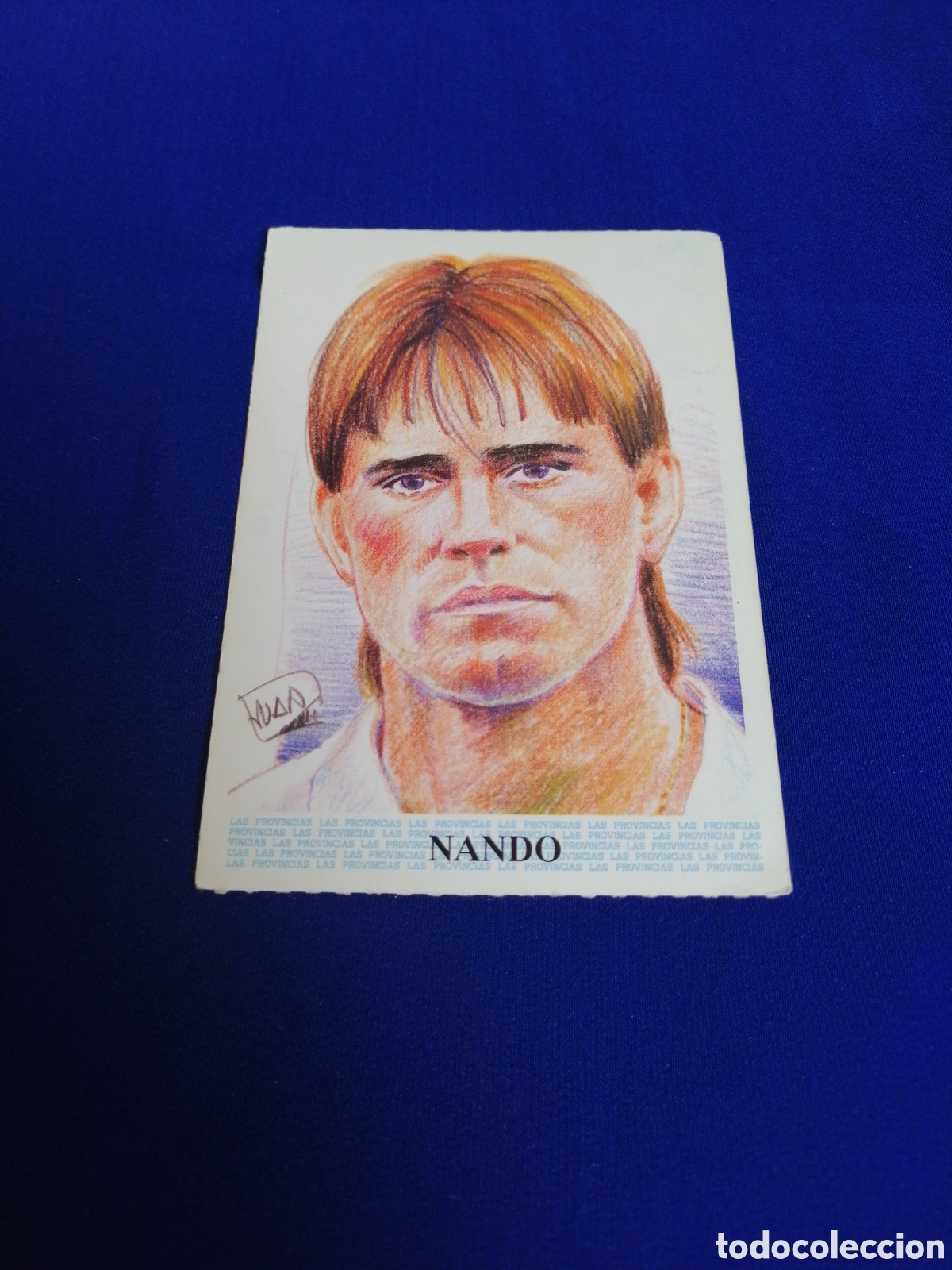 Cromos de f&uacute;tbol: HISTORIA DEL VALENCIA CF - DIARIO LAS PROVINCIAS - 1994 - NANDO