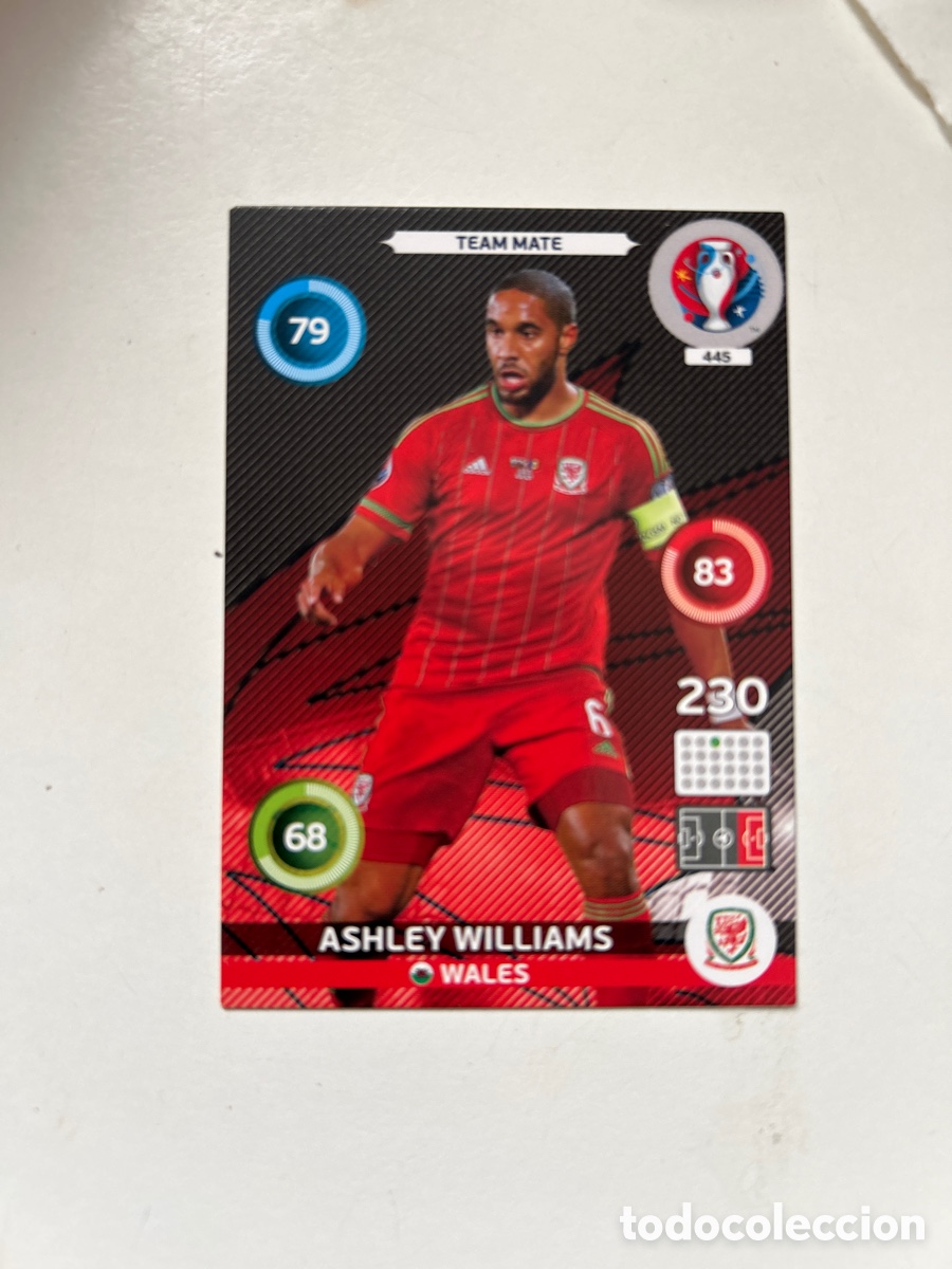 Cromos de f&uacute;tbol: Ashley Williams EURO2016 (445&euro;