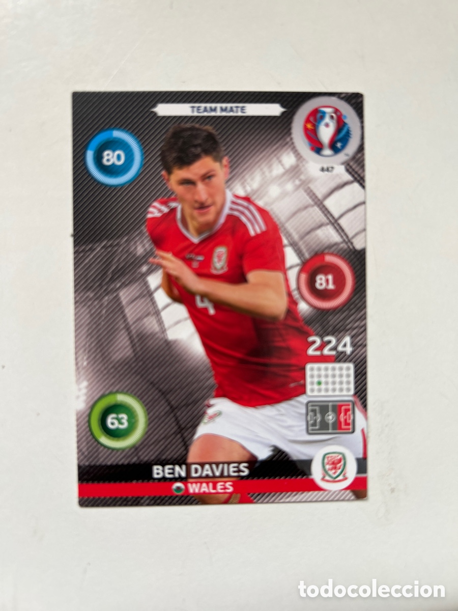 Cromos de f&uacute;tbol: Ben Davies EURO2016 (447)