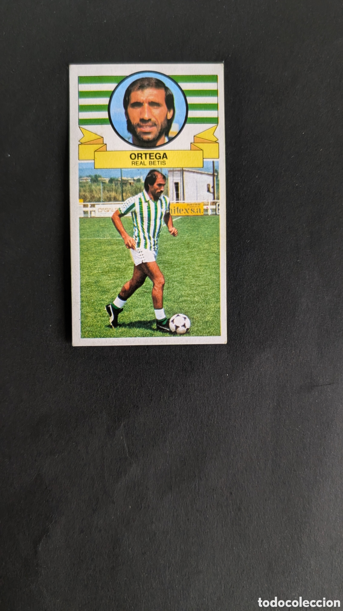 Football Stickers: ORTEGA BETIS VERSION COLOCA LIGA ESTE 1985/86 85 86 DESPEGADO