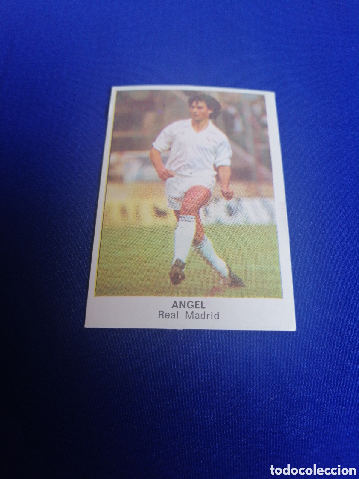 Cromos de f&uacute;tbol: F&Uacute;TBOL 84 - REAL MADRID - ANGEL