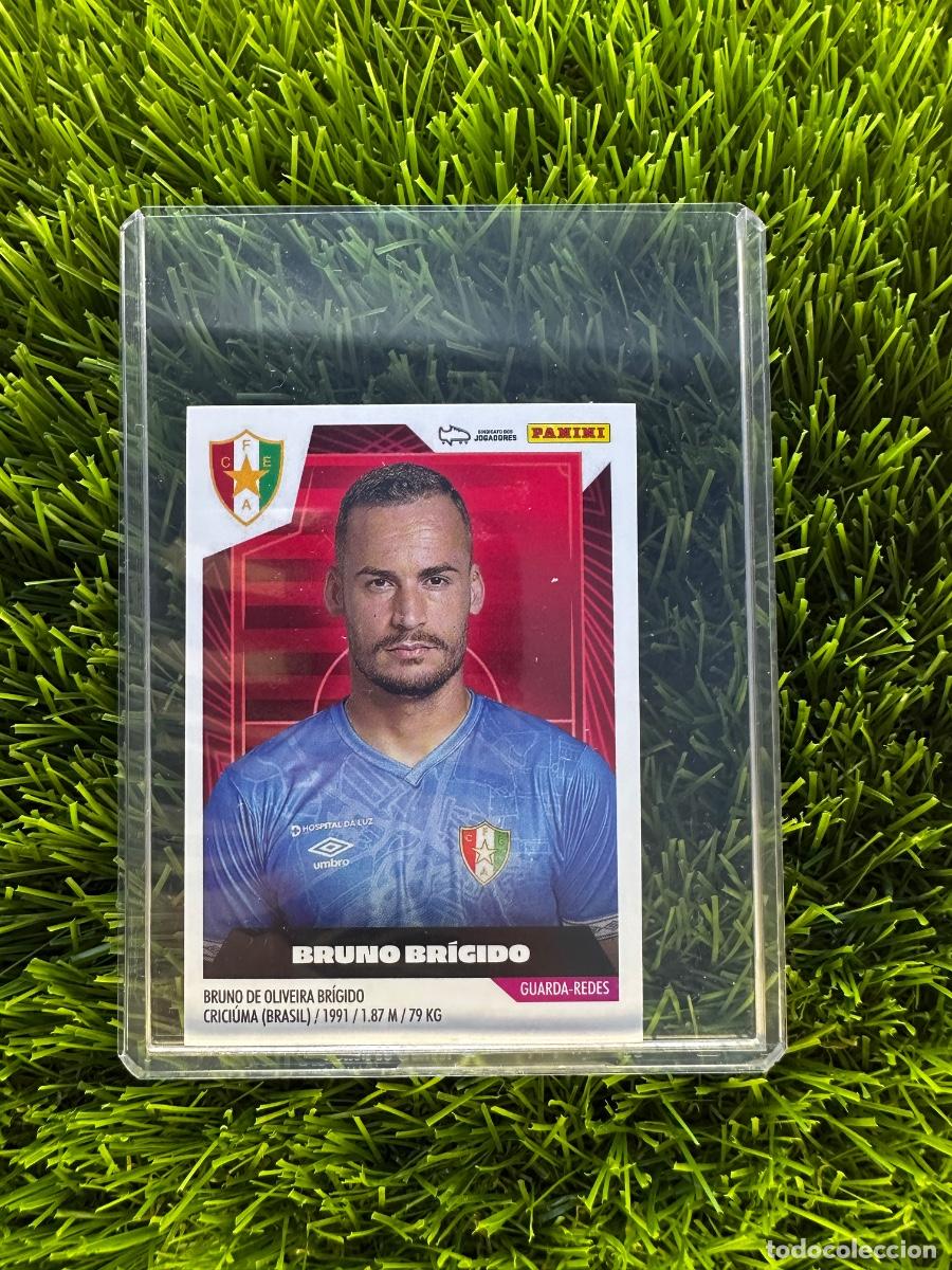 Cromos de f&uacute;tbol: N&ordm; 153 Bruno Br&iacute;gido Estrela Da Amadora Futebol Liga Portuguesa 23 24