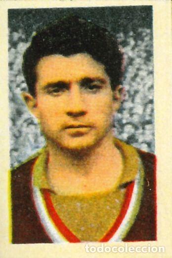 Cromos de f&uacute;tbol: FUTBOL - RUIZ ROMERO - 1959-1960 - 59-60 - REAL BETIS - 124 - MENENDEZ (REPRODUCCION)