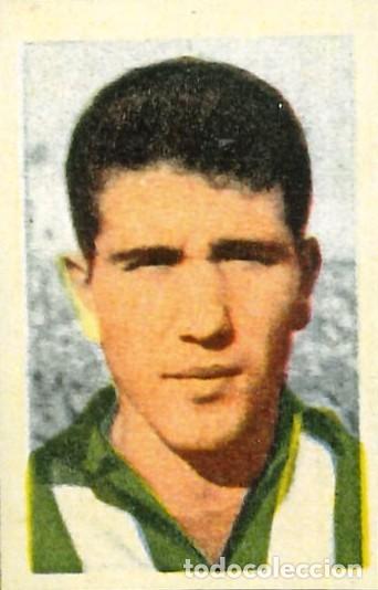 Cromos de f&uacute;tbol: FUTBOL - RUIZ ROMERO - 1959-1960 - 59-60 - REAL BETIS - 132 - XANIN (REPRODUCCION)