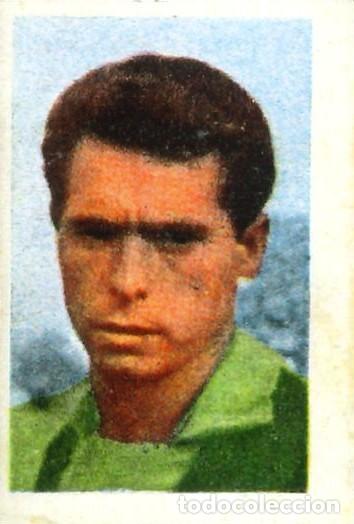 Cromos de f&uacute;tbol: FUTBOL - RUIZ ROMERO - 1959-1960 - 59-60 - REAL BETIS - 135 - DOMINGUEZ (REPRODUCCION)