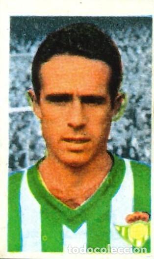 Cromos de f&uacute;tbol: FUTBOL - RUIZ ROMERO - 1959-1960 - 59-60 - REAL BETIS - 137 - LASA (REPRODUCCION)