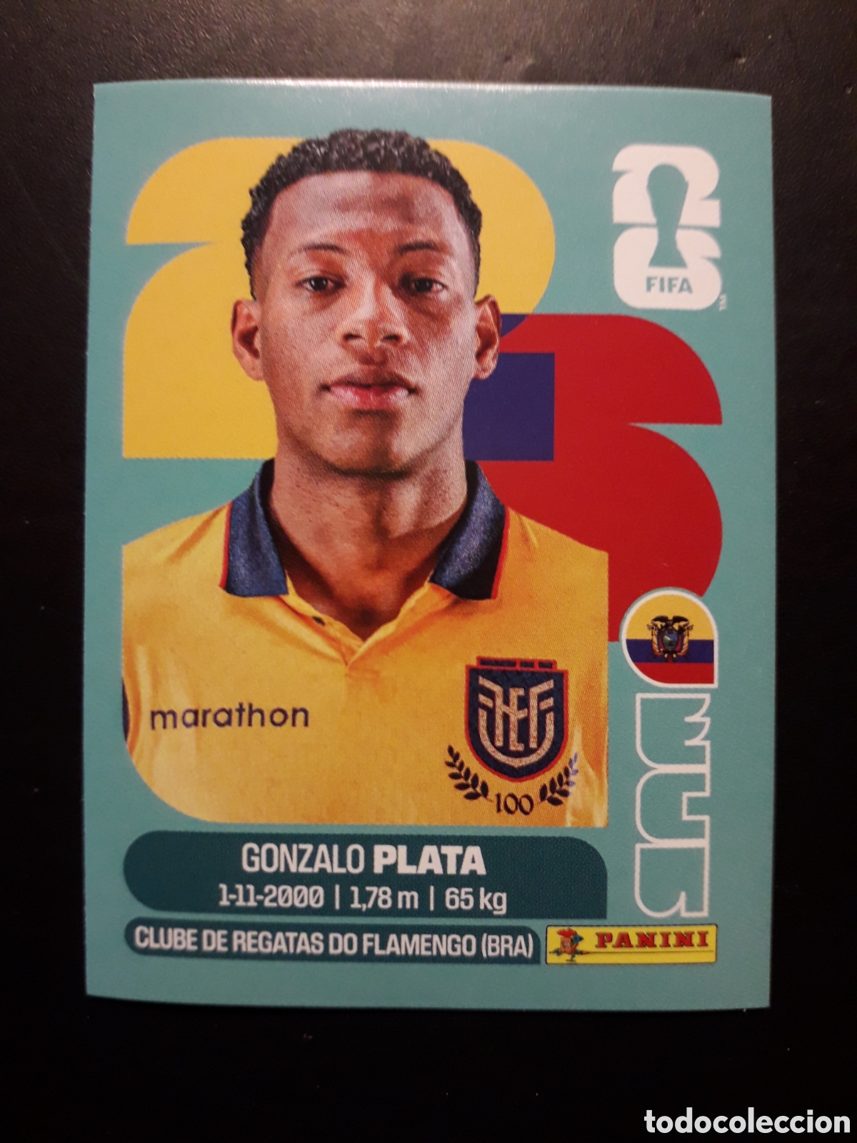 Cromos de f&uacute;tbol: PLATA ECUADOR ECU 16 MUNDIAL F&Uacute;TBOL 2026 FIFA WORLD CUP PANINI SIN PEGAR PEDIDO M&Iacute;NIMO 3&euro;
